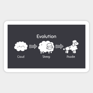 Evolution of Cloud To Sheep And Poodle Magnet